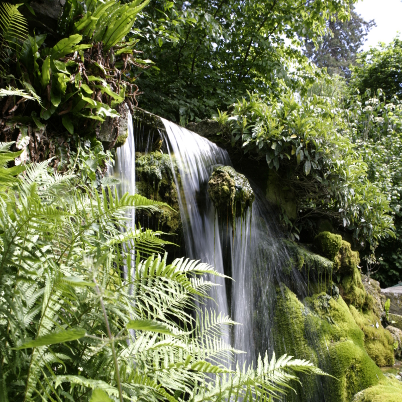A waterfall, surrounded by greenery
