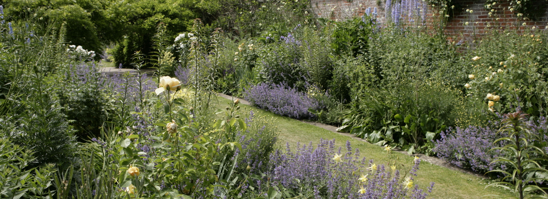 A herbaceous border, full of flowers.