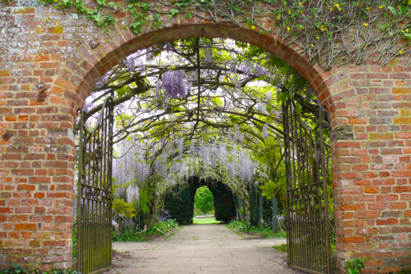Brick archway with gates to wisteria