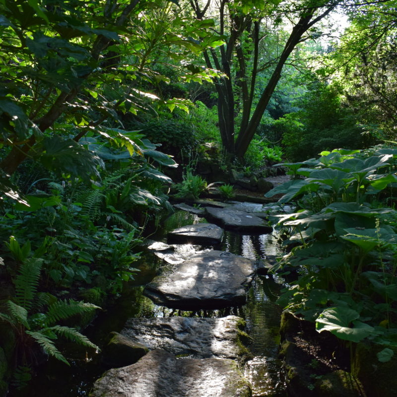 A stone pathway through water, surrounded by greenery