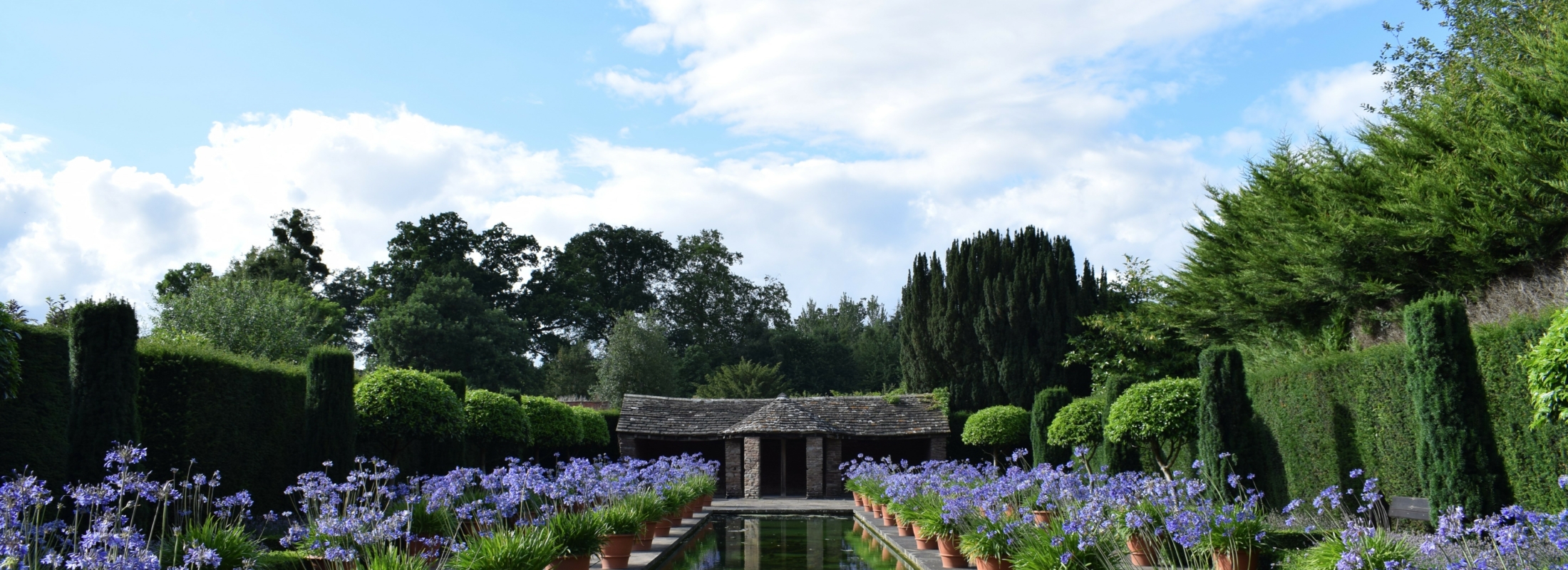water canal with hut at the end and pots of purple flowers