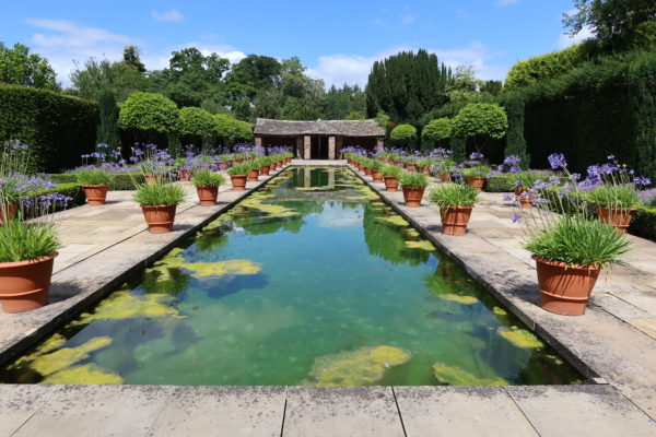 Long canal with purple flowers and stone structure