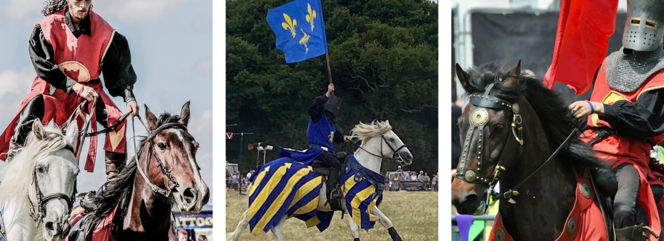 Medieval jousting at Hampton Gardens