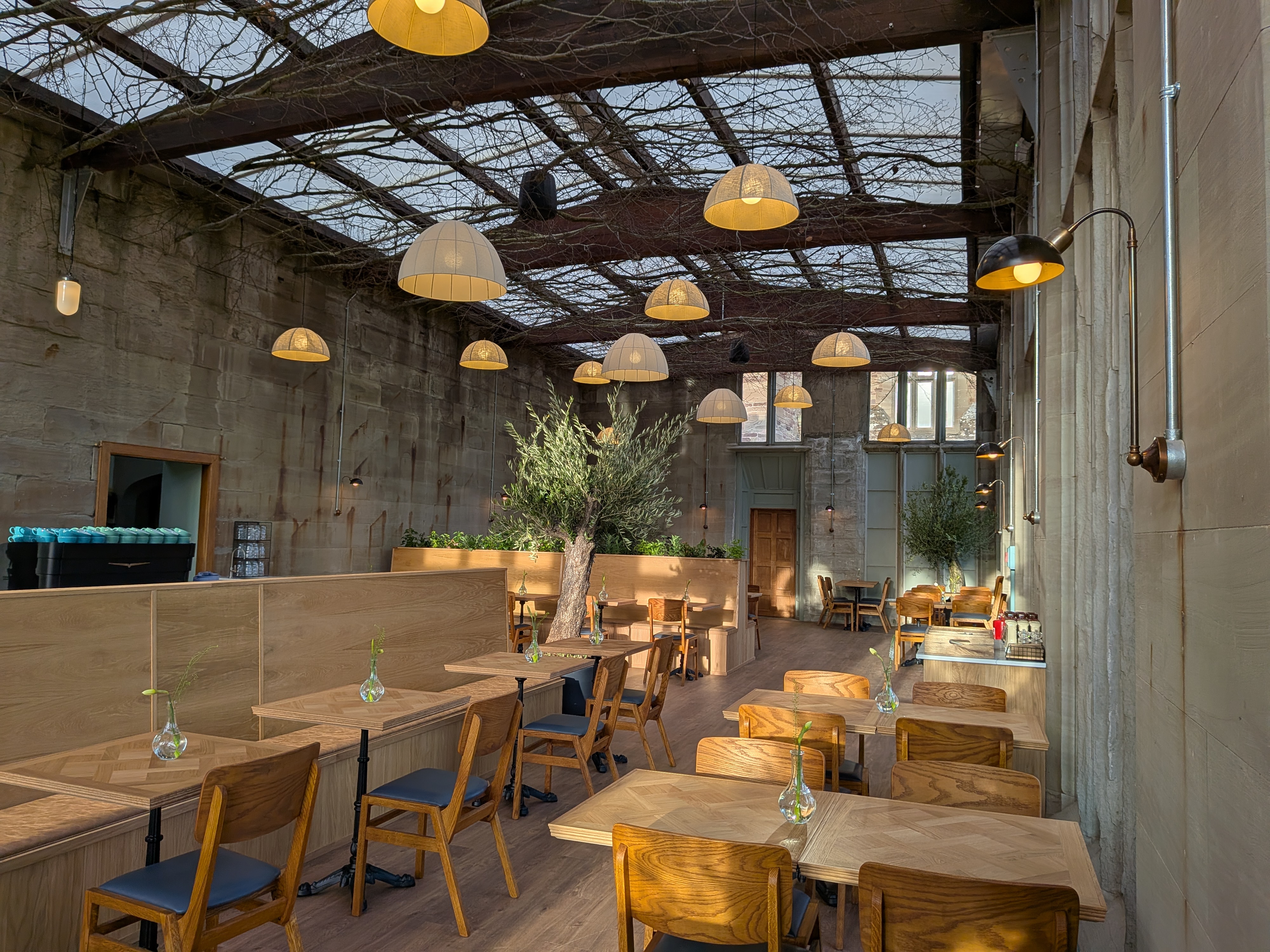 Sun shining through the windows of the orangery cafe, hitting the wooden chairs and tables. Hanging linen pendant lights are lit up and branches lay hung from the roof