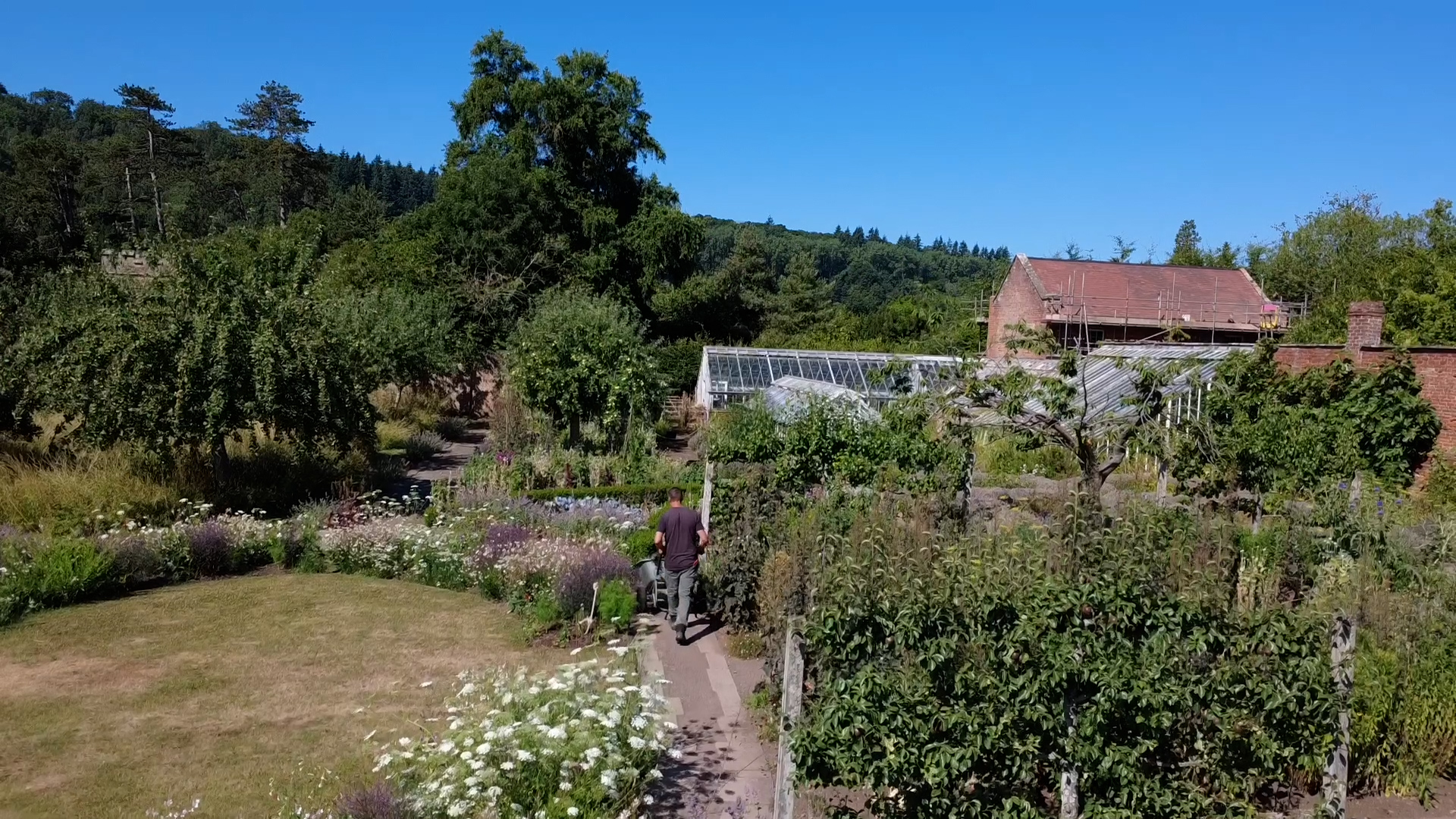 Head Gardener John wheeling a wheelbarrow through the garden on a summers day