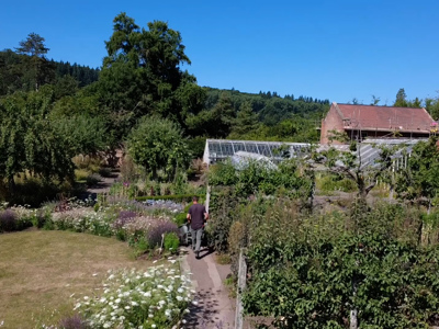 Head Gardener John wheeling a wheelbarrow through the garden on a summers day