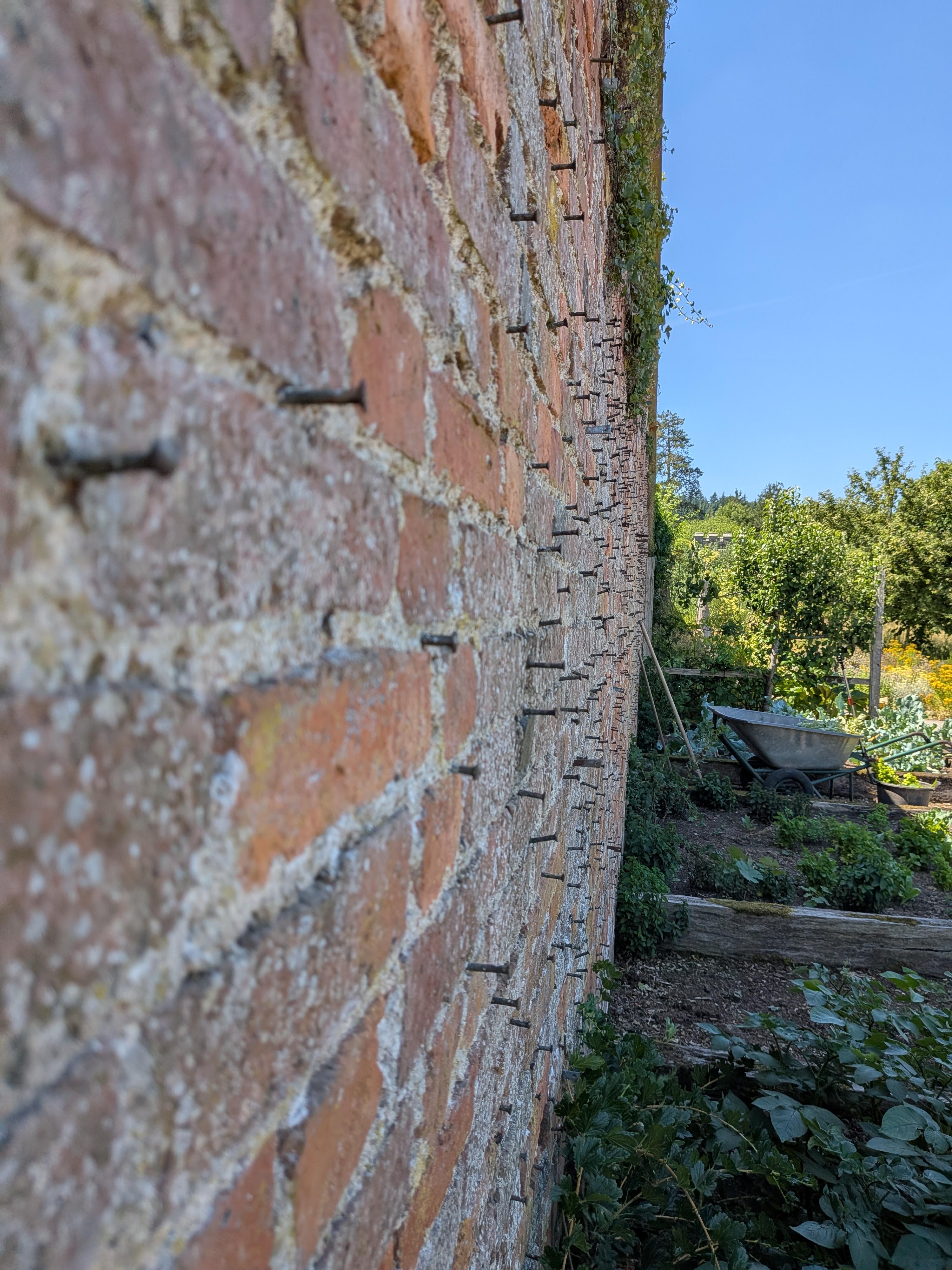 Walled garden with nails in the walls in the kitchen garden