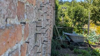 Walled garden with nails in the walls in the kitchen garden