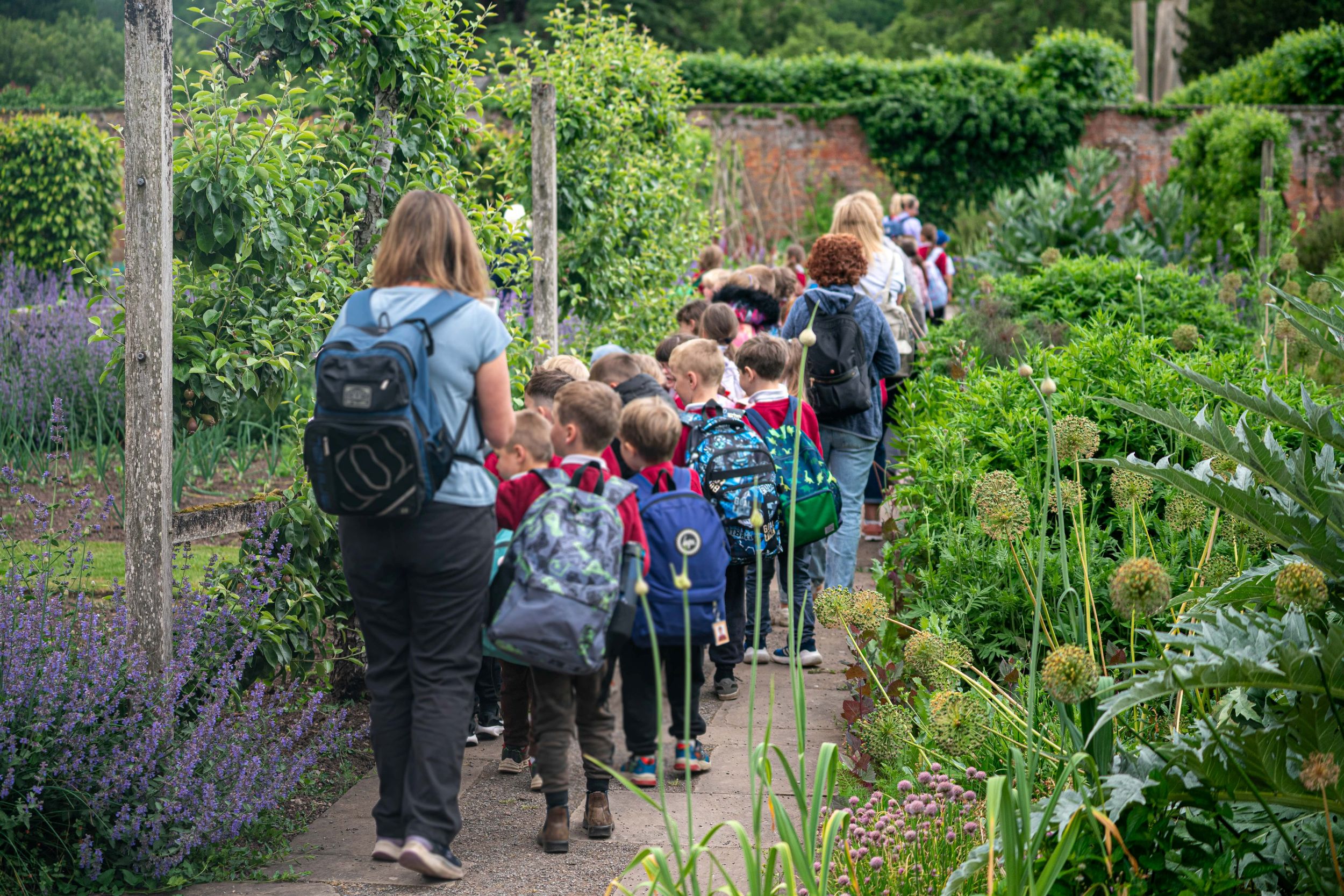School Trip Kitchen Garden001 2500