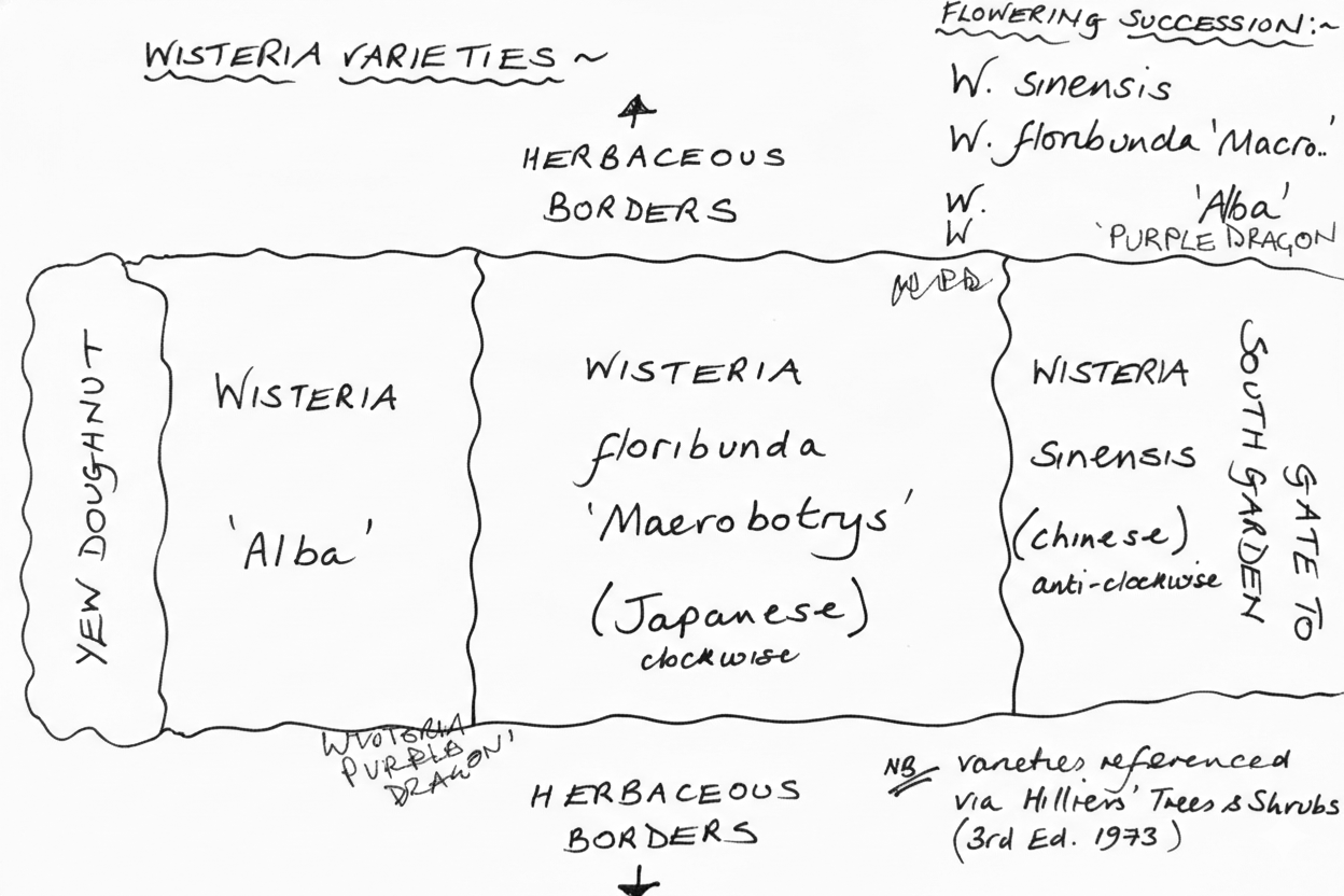 hand-drawn-plan-of-wisteria-arch-including-variety-names