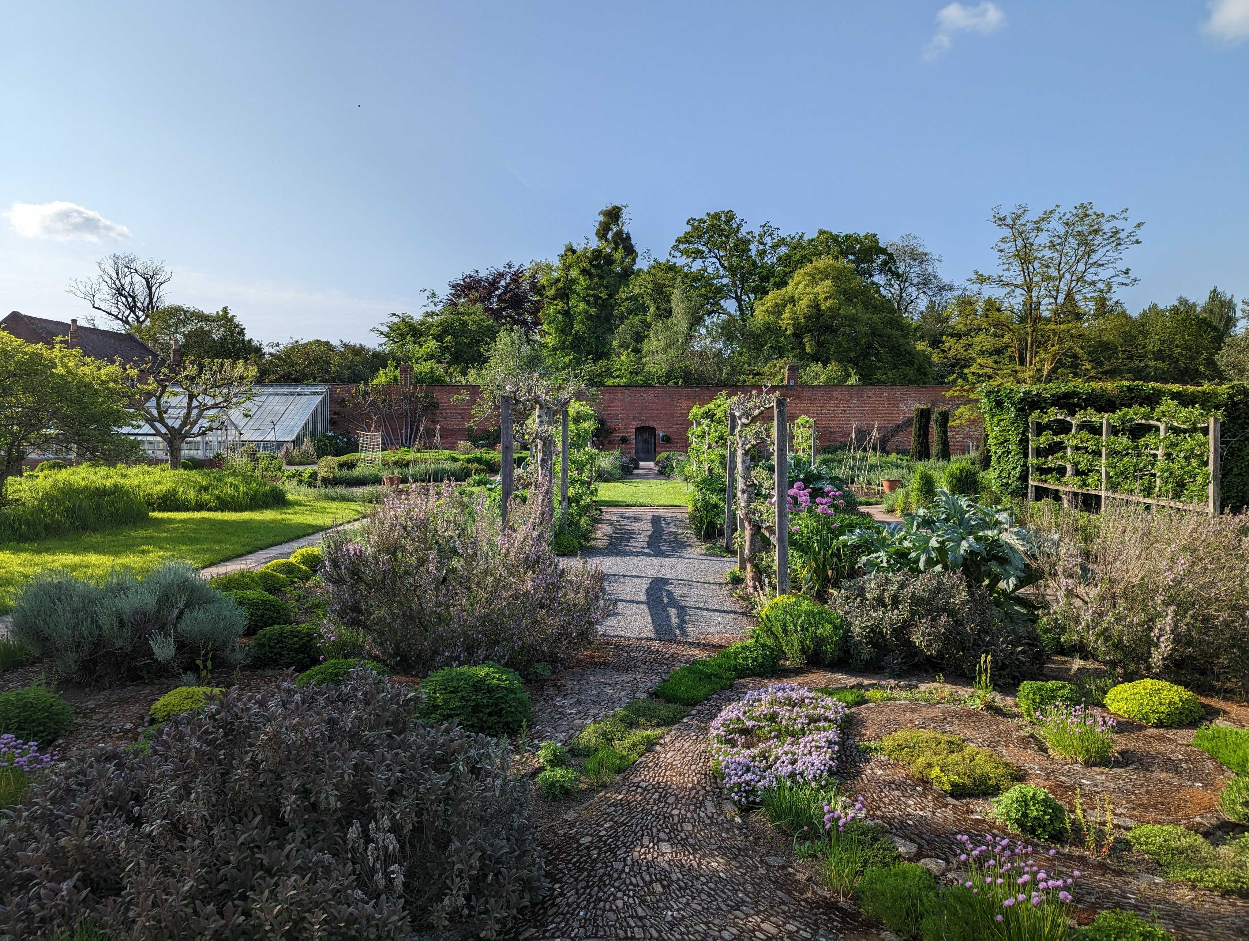 A plentiful walled kitchen garden in the sunshine with blues skies. 
