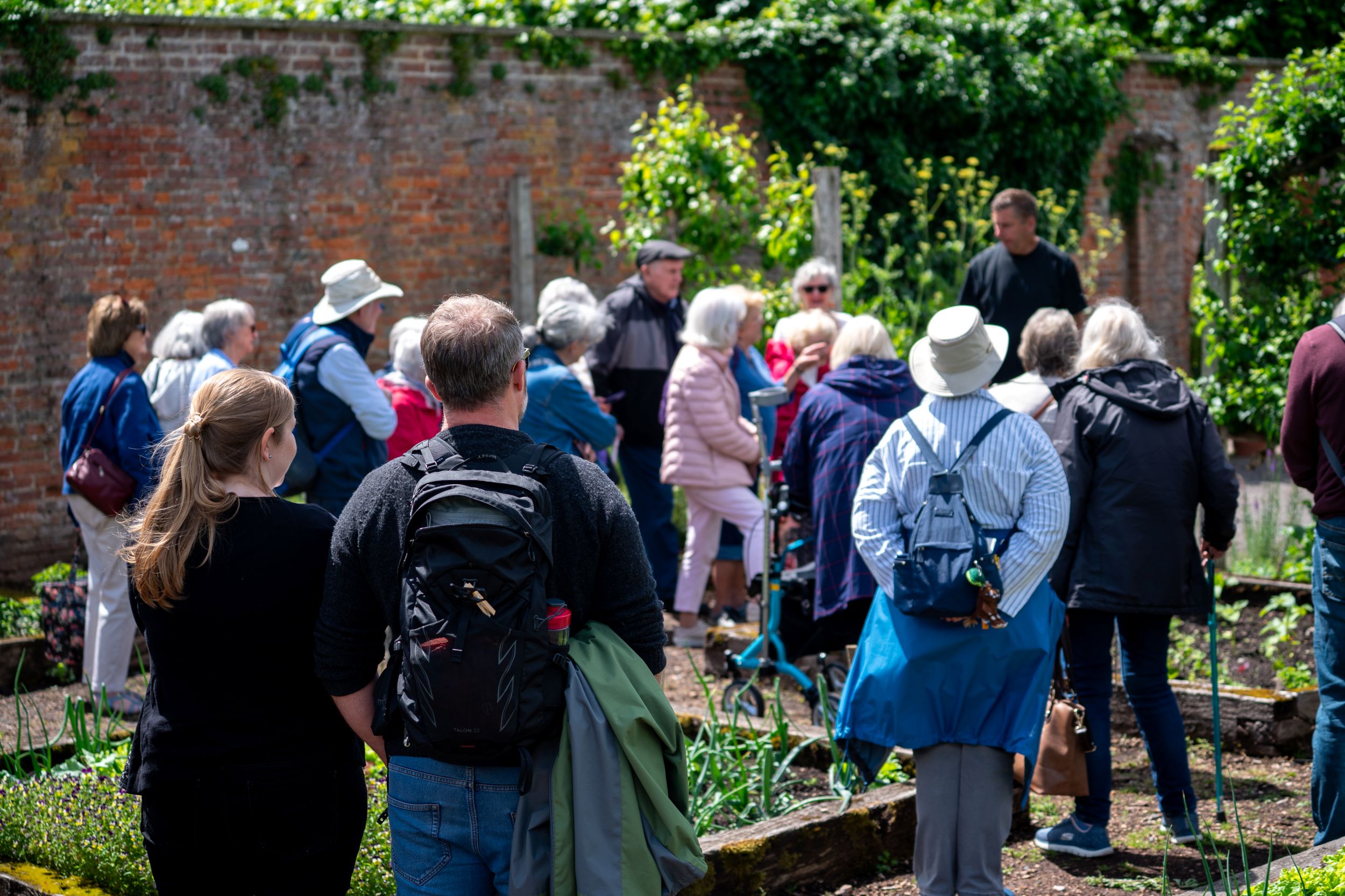 Group visits