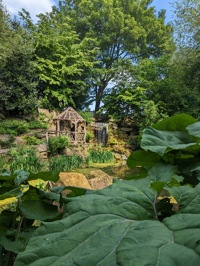 View-from-the-sunken-garden-of-pergola-and-waterfall