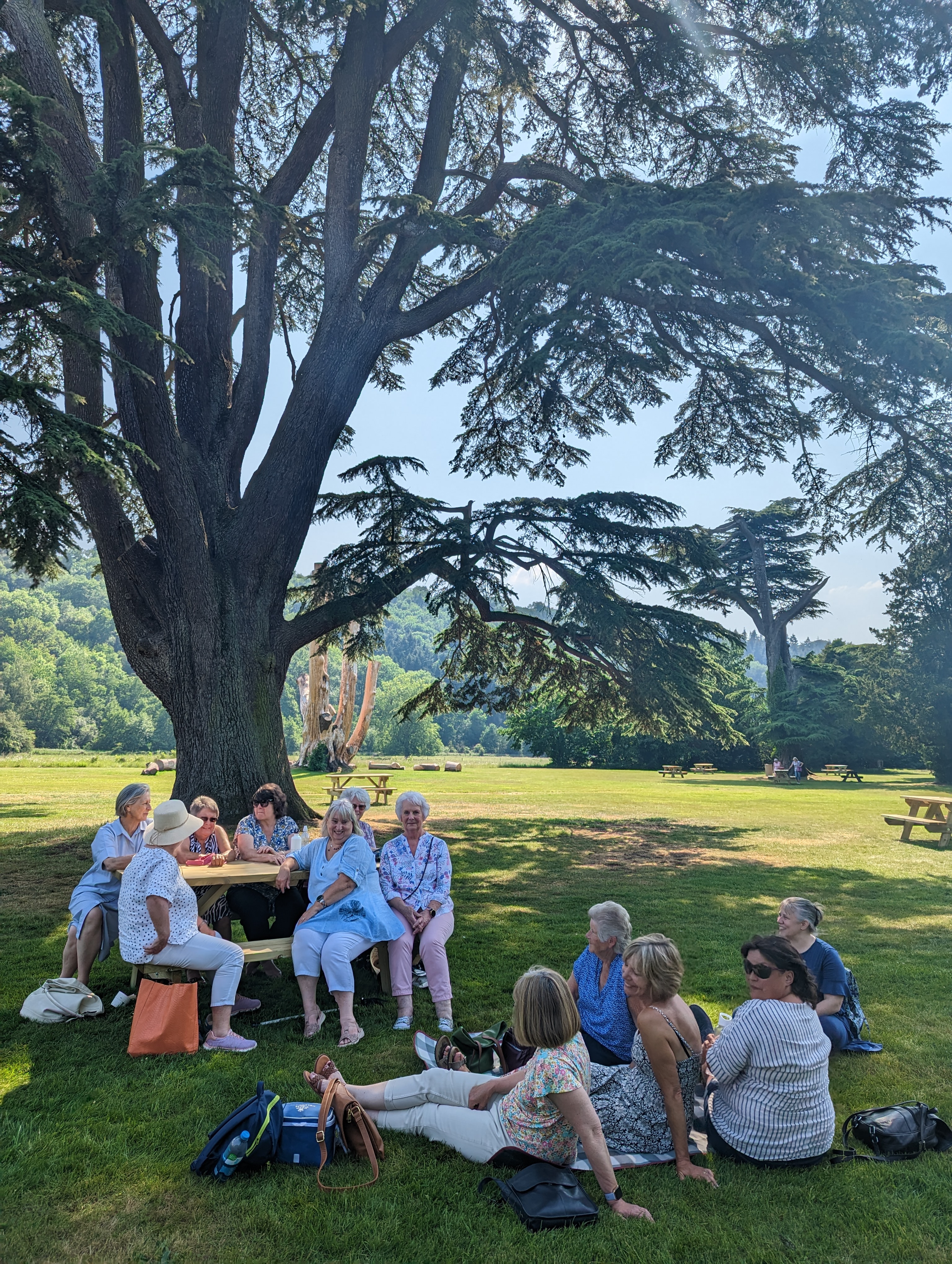 Group booking sat around picnic bench with the sun shining on the sound lawns
