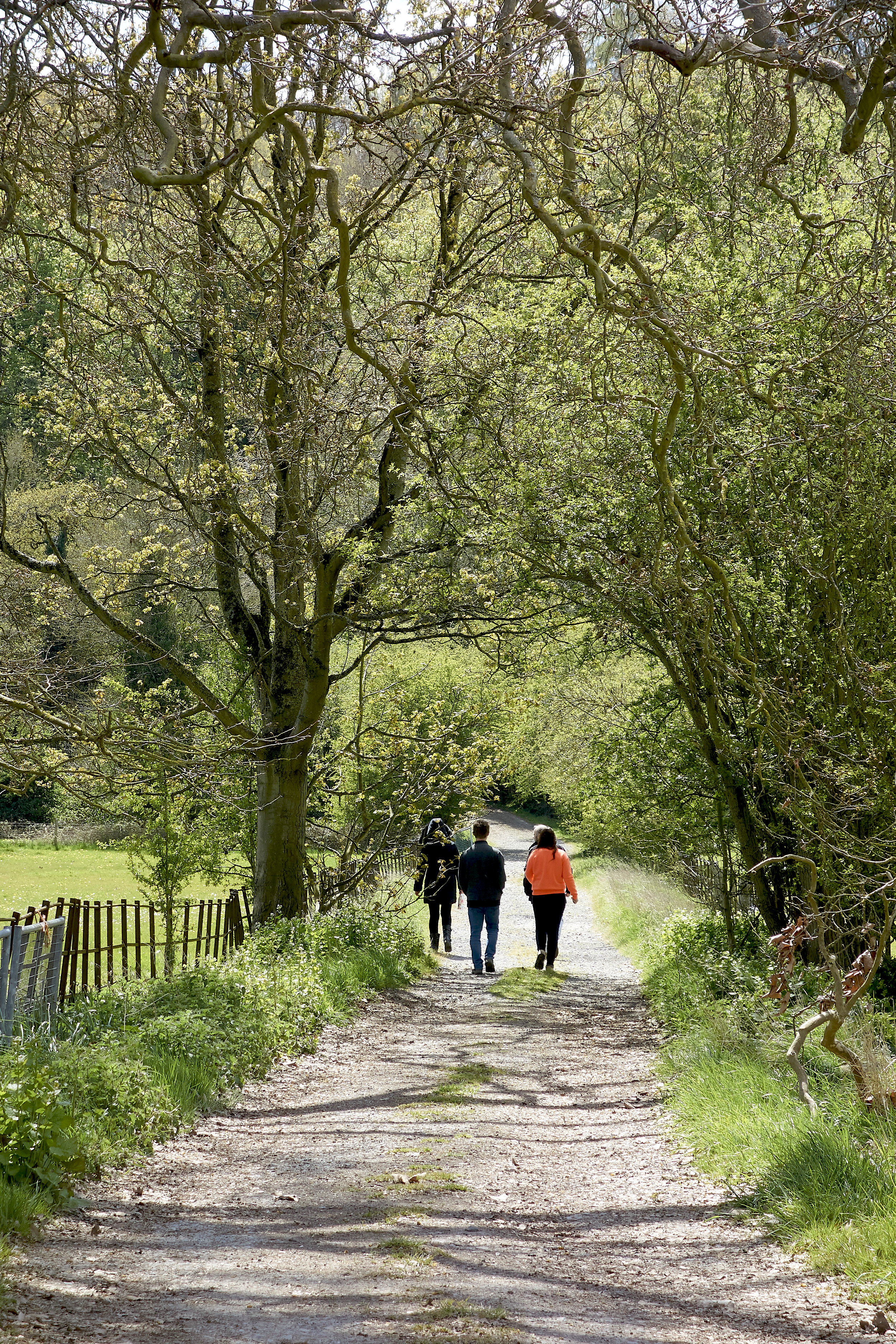 couple-walking-along-river-walk-path