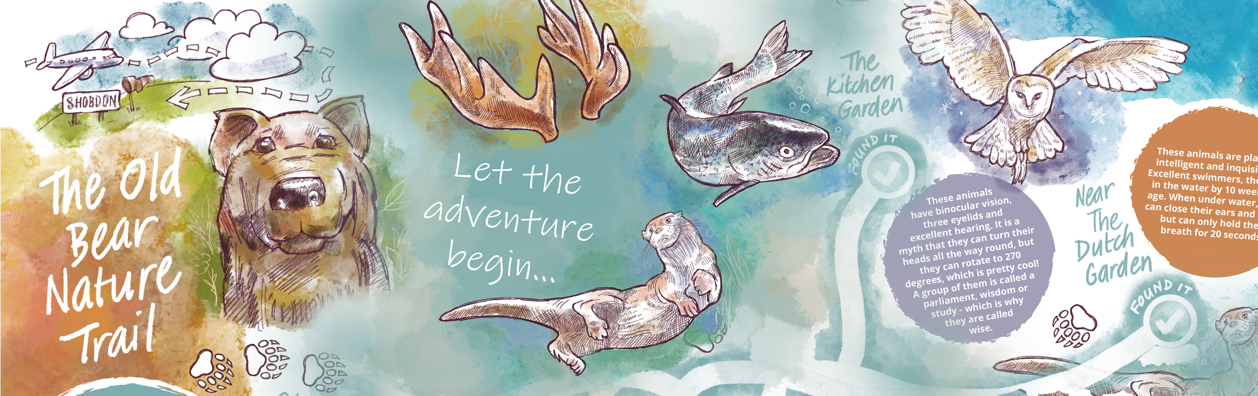 Trail Banner For Website 2026