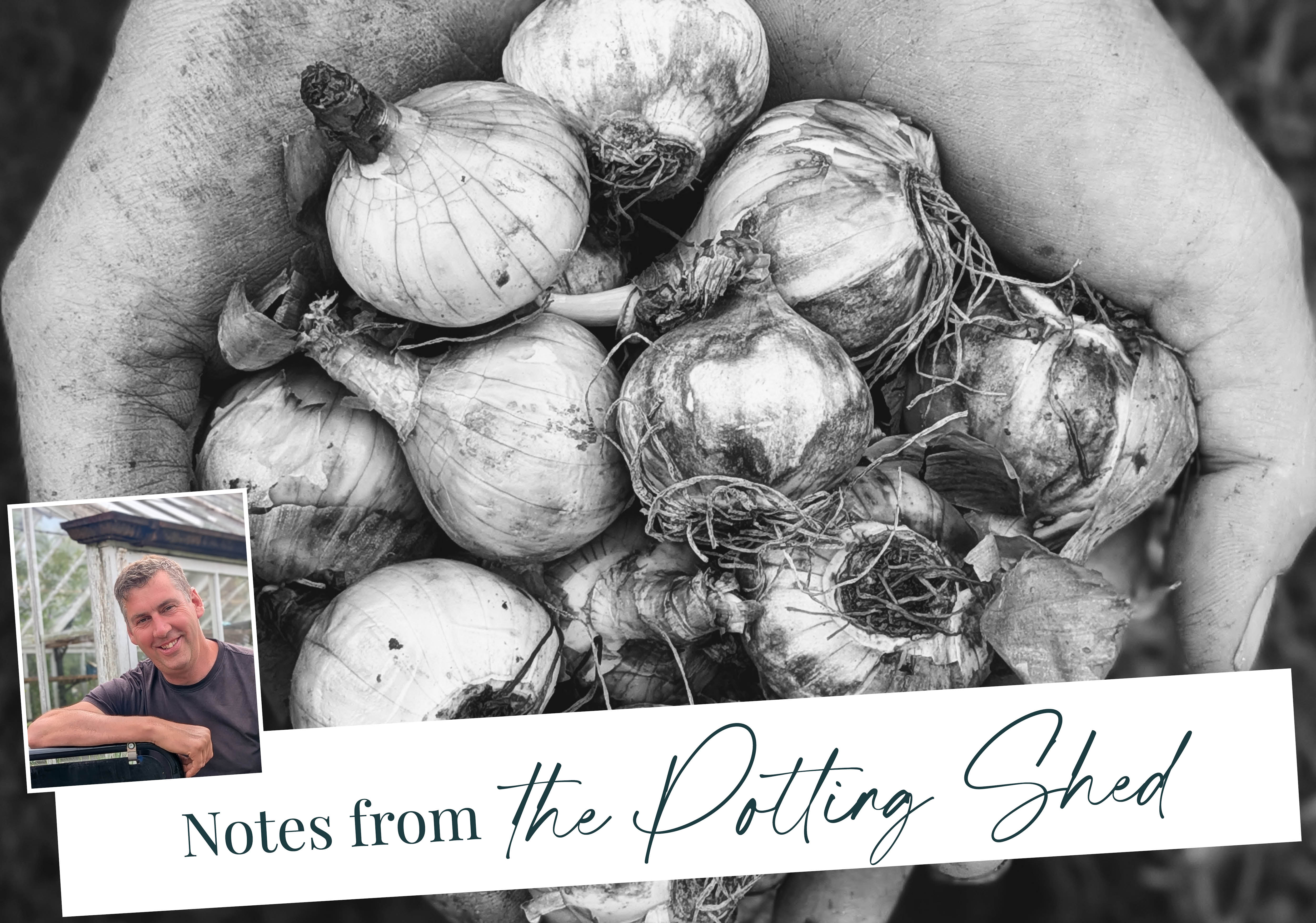 Newsletter header showing bulbs in gardeners hands, head gardener John and a title